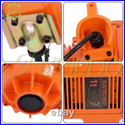 1 Ton Electric Chain Hoist, Single Phase 2200Lbs 10ft Lift Height G80 110V 750W