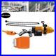 2200lbs-1Ton-Electric-Chain-Hoist-Single-Phase-Double-Chain-Crane-Hoist-13-Lift-01-bae