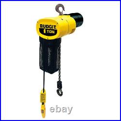 CM Budgit 1/4 Ton, Electric Chain Hoist With Chain Container, 10' Lift, 16