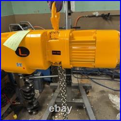 Harrington 1 Ton Hoist