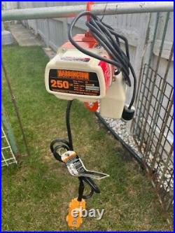 Harrington ED250DS 1/8 Ton Electric Hoist 10' Lift 2 Speed 26/10 FPM 115V 1Ph