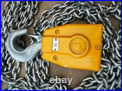 (New) Ingersoll Rand 3 Ton IR Quantum Electric Hoist 25 Ft. Chain QCH200-2ND300