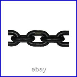 Prowinch 3 Ton Electric Chain Hoist 30ft G100 Chain M4/H3 220240/380/460V