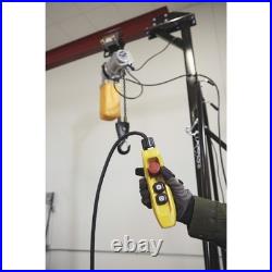 Strongway Electric Chain Hoist, 1-Ton Load Capacity, 9.8ft. Lift Strongway Electric Chain Hoist, 1-Ton Load Capacity, 9.8ft. Lift